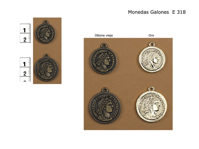 Moneda galón E318