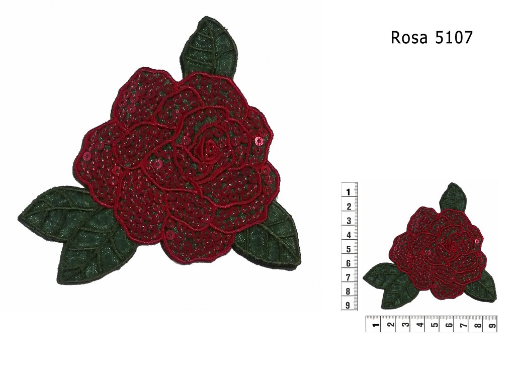 Rosa 5107