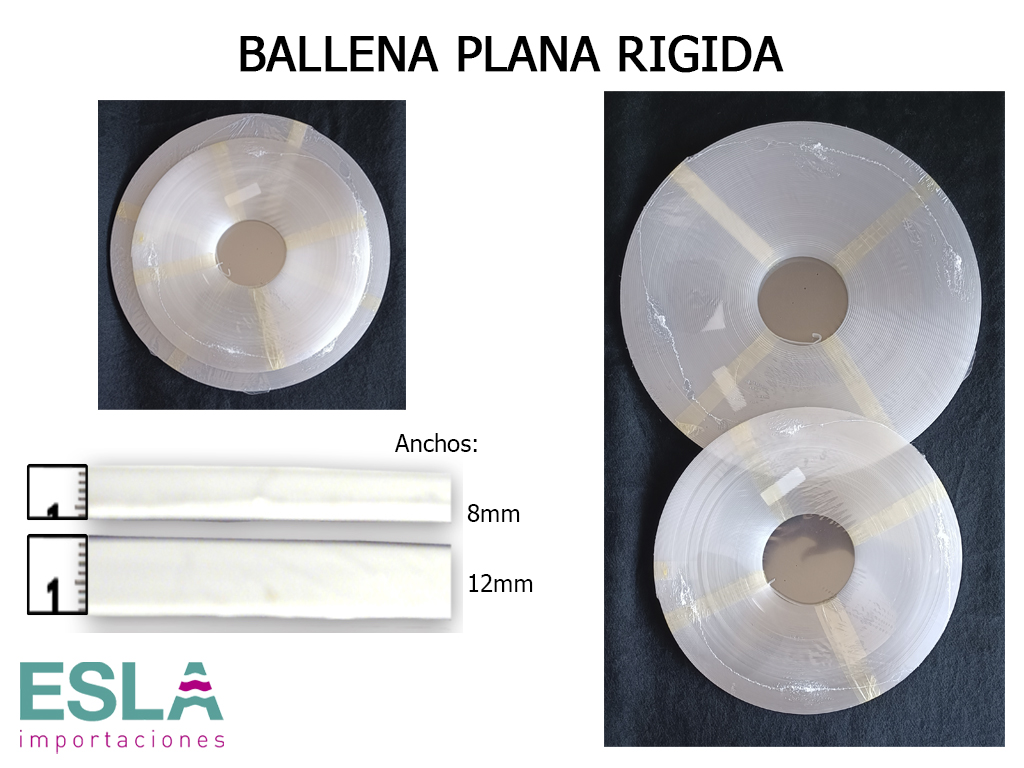 ballena plana 00570