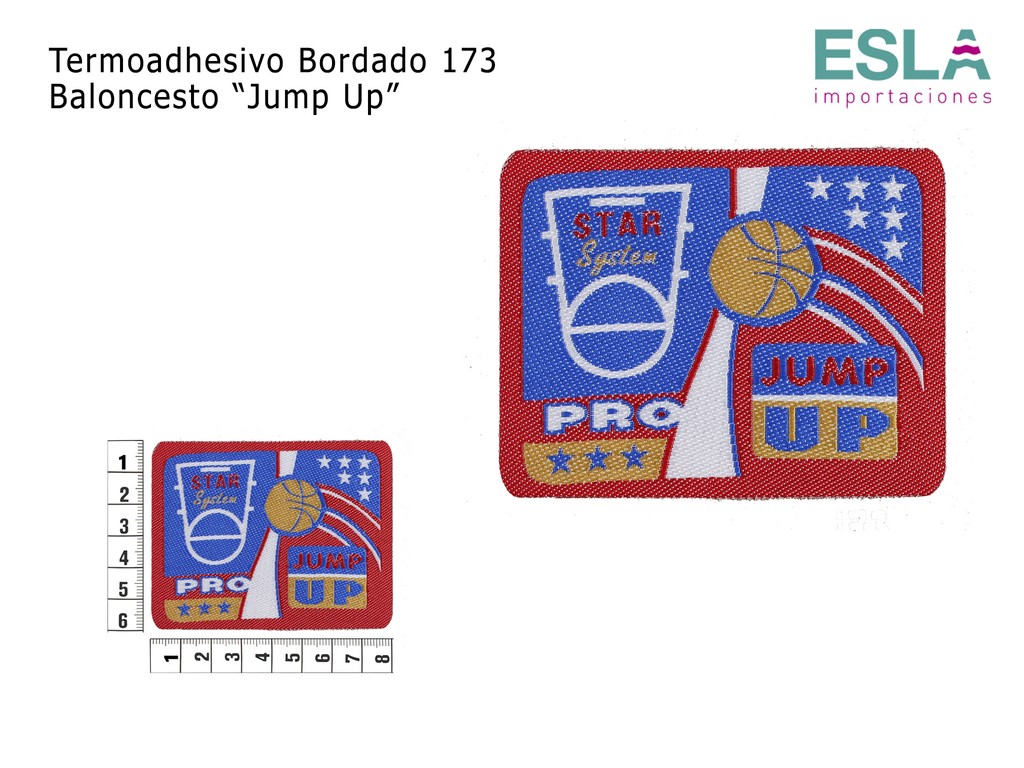TERMOADHESIVO BORDADO 173 BALONCESTO