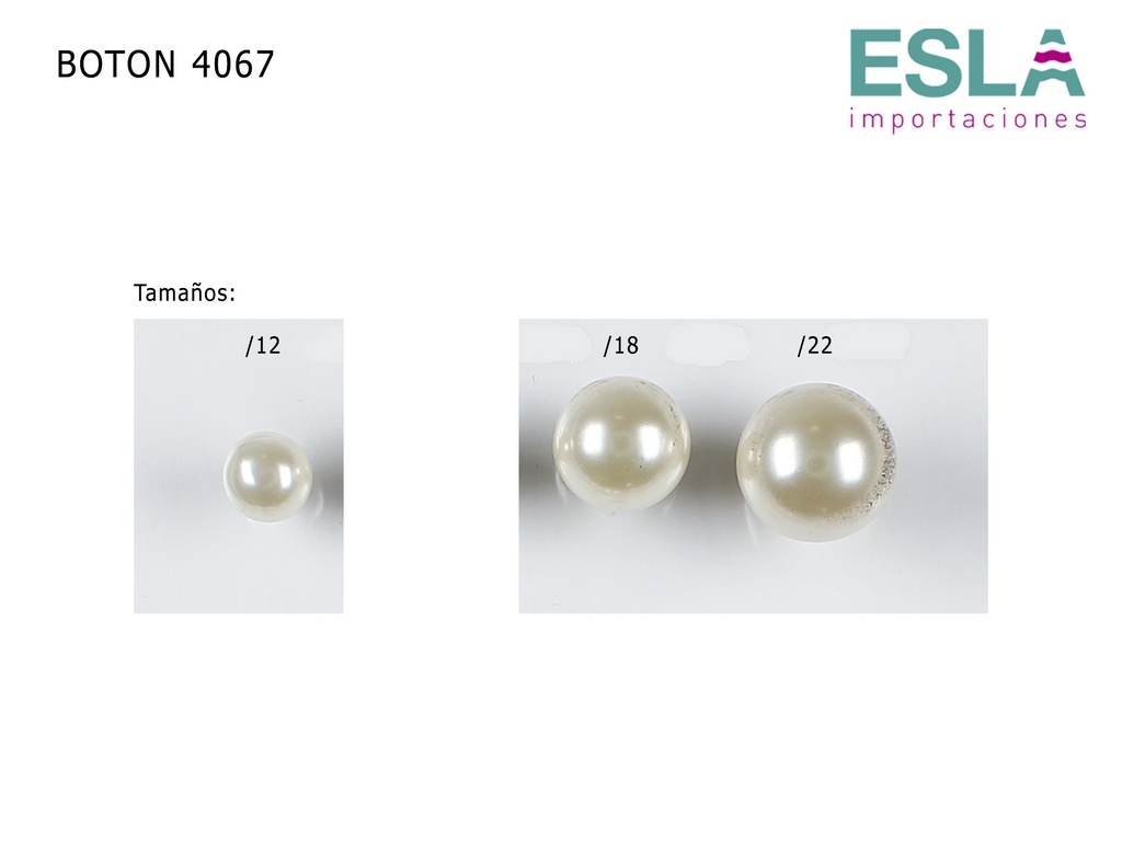 BOTON 4067